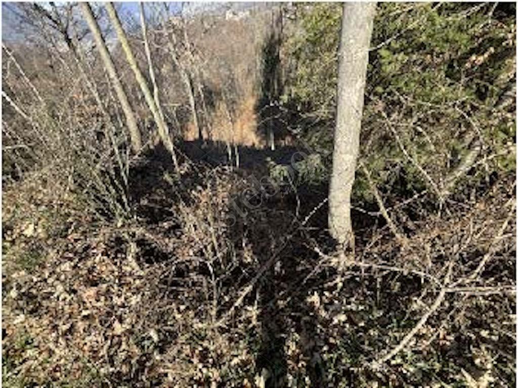 Quote di terreni in comune di Cremeno 