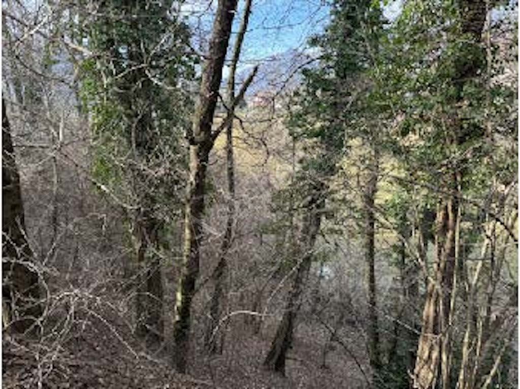 Quote di terreni in comune di Cremeno 