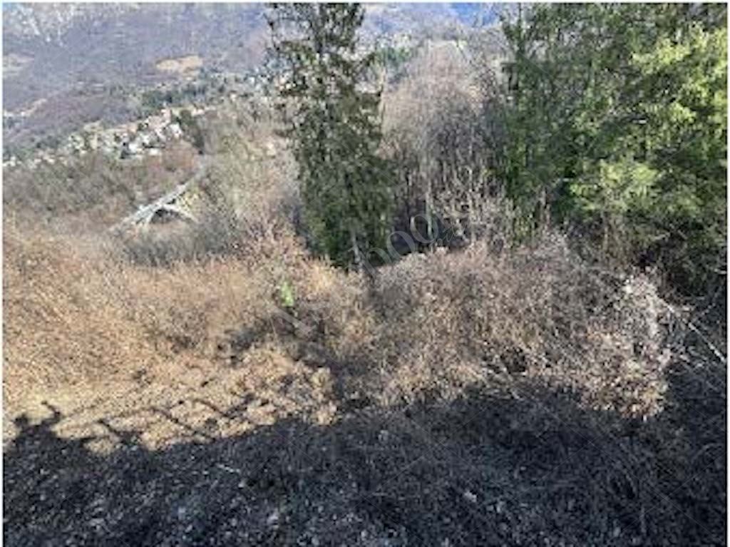 Quote di terreni in comune di Cremeno 