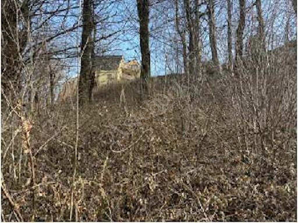 Quote di terreni in comune di Cremeno 