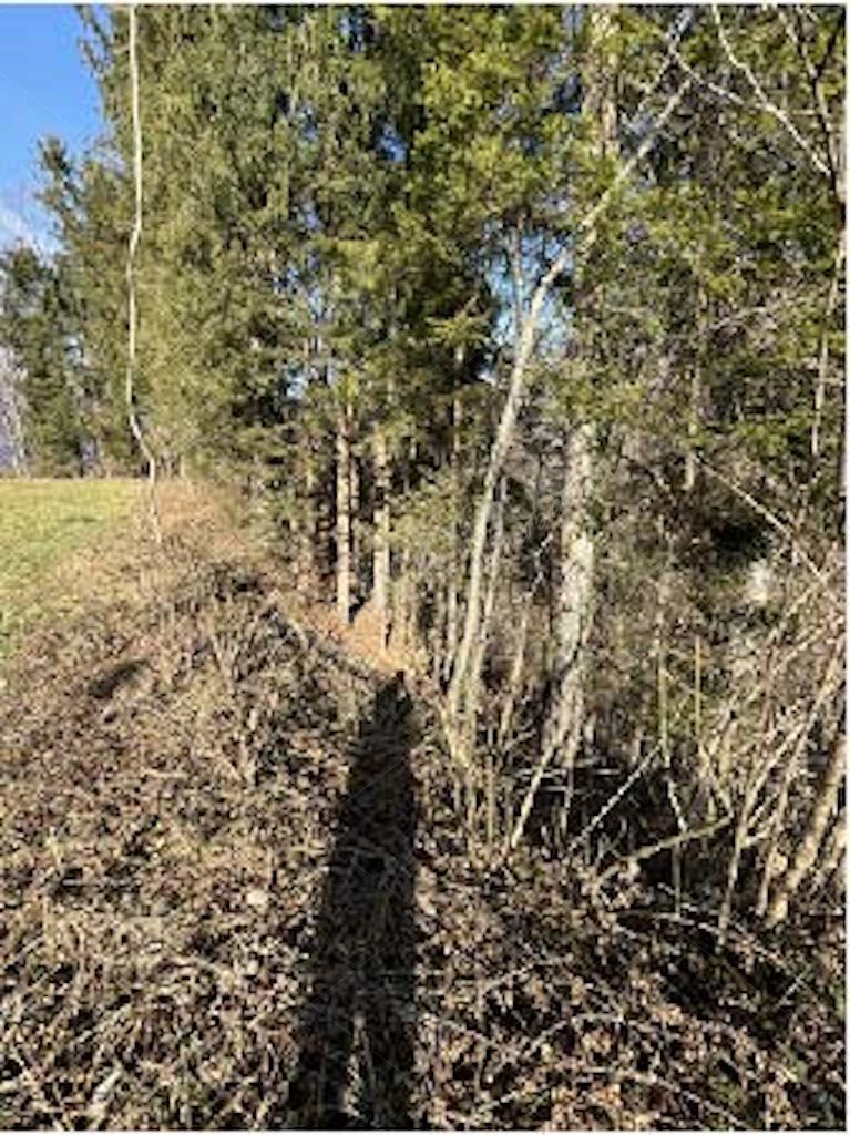 Quote di terreni in comune di Cremeno 