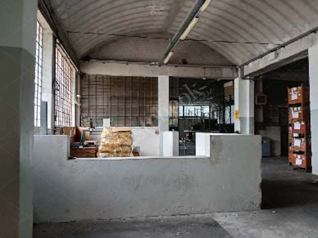 Compendio industriale costituito da due capannoni e deposito in Primaluna