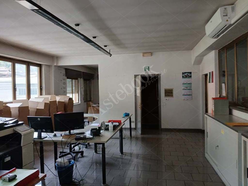 Compendio industriale costituito da due capannoni e deposito in Primaluna
