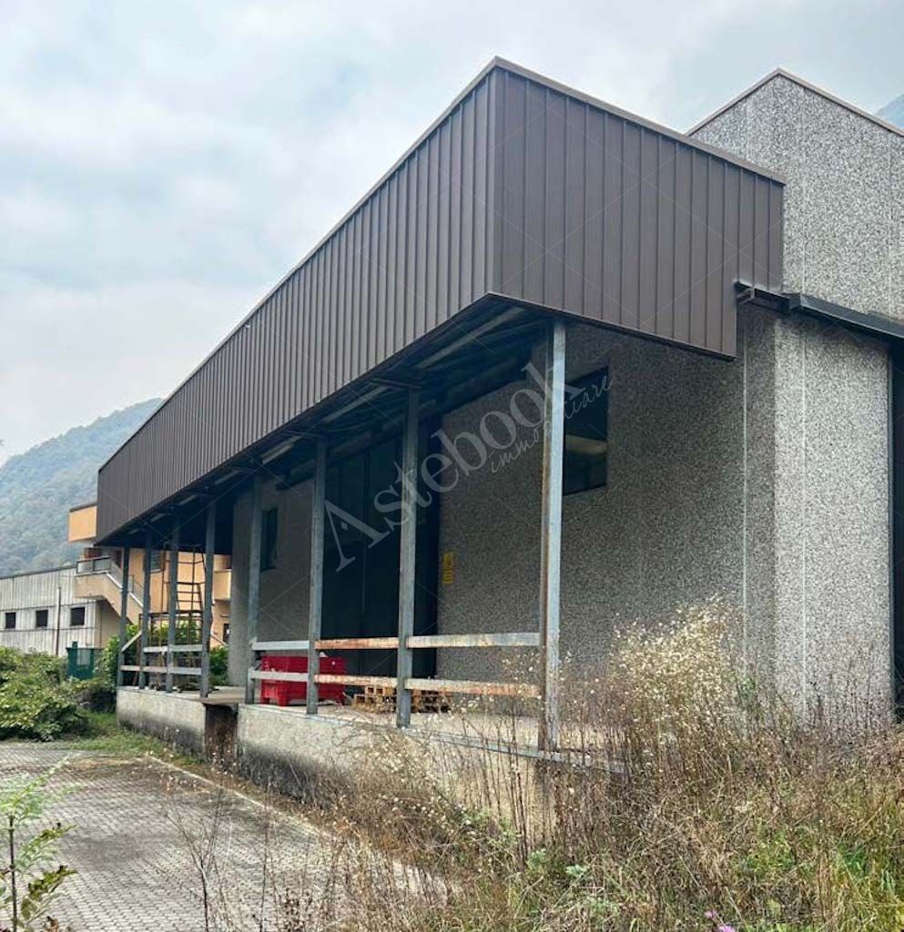 Compendio industriale costituito da due capannoni e deposito in Primaluna
