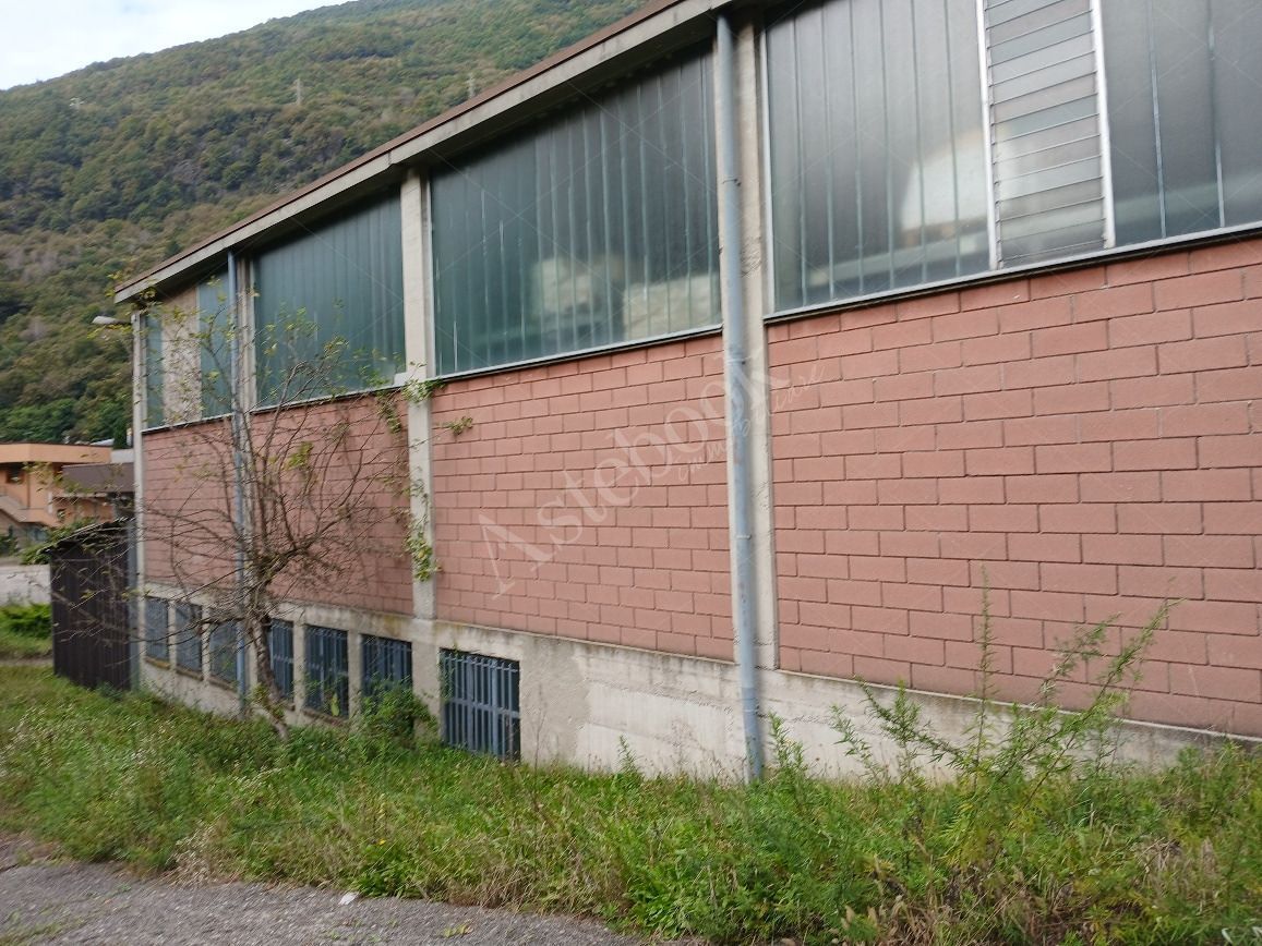 Compendio industriale costituito da due capannoni e deposito in Primaluna