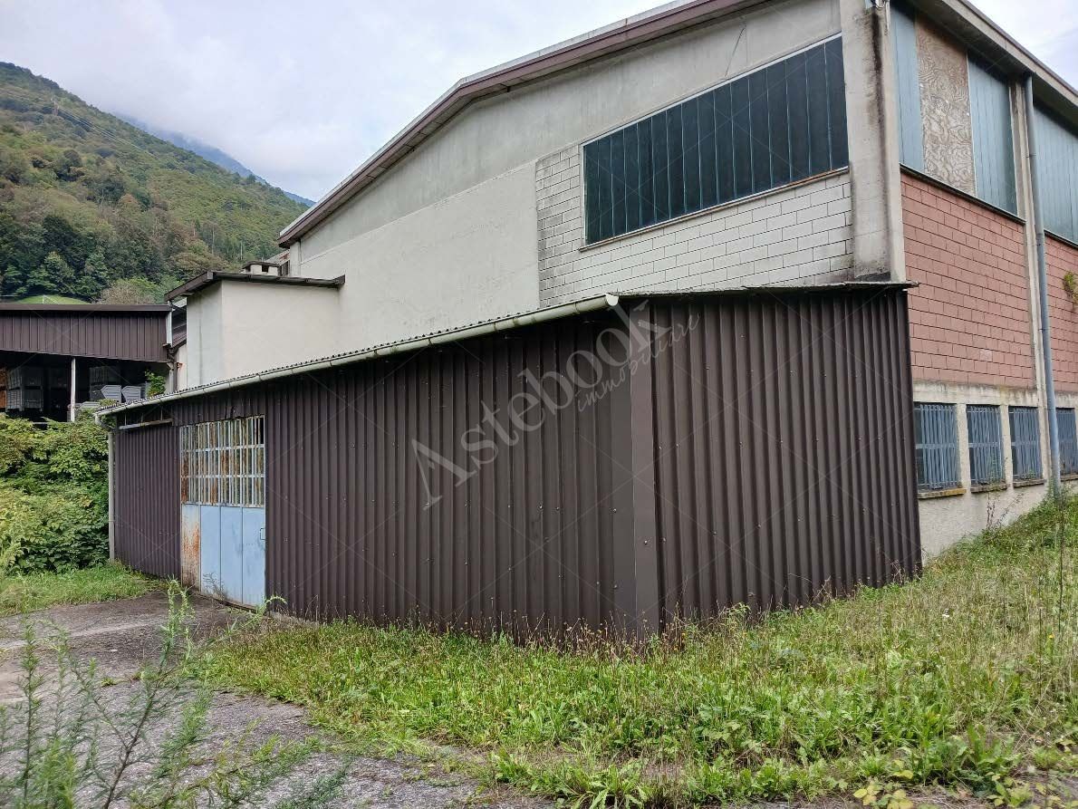 Compendio industriale costituito da due capannoni e deposito in Primaluna