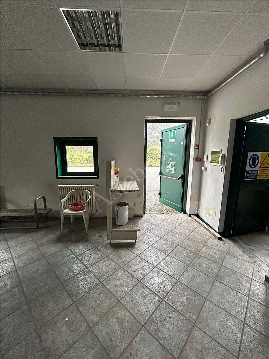 Capannone su due livelli con terreno ed impianto fotovoltaico in Taceno